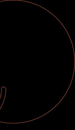 Customer Likes Decoration